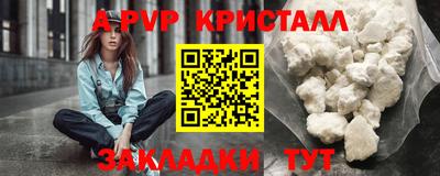 СК Каменск-Шахтинский