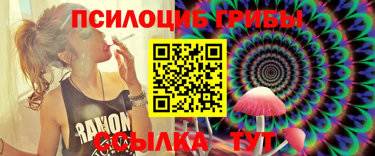 Галлюциногенные грибы прущие грибы Зерноград