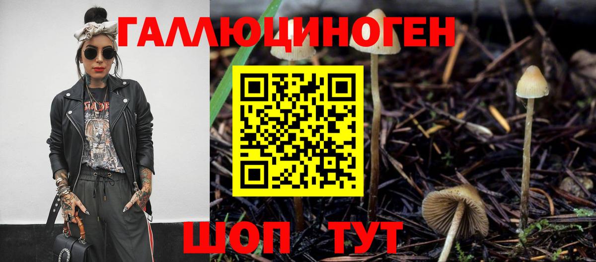 Псилоцибиновые грибы Psilocybe  Вход с VPN  Галлюциногенные грибы ЛСД  Зерноград 